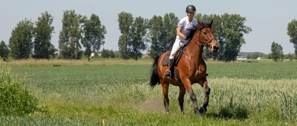 Stajnia Ranczo Bródzki